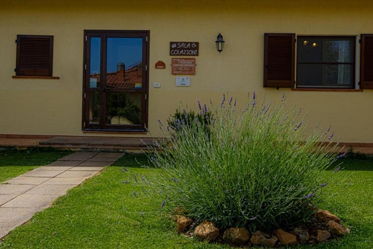 Agriturismo La Fata Grosseto Bagian luar foto